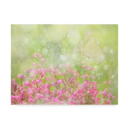 Trademark Fine Art Delphine Devos 'Its A Beautiful Day' Canvas Art, 24x32 1X08183-C2432GG